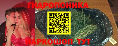 гидра Рыбинск