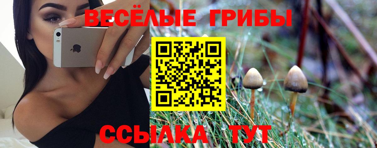 Сегежа  что такое   Вход с VPN  Псилоцибиновые грибы ЛСД 