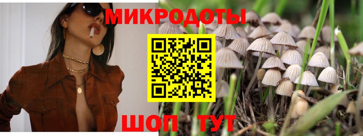 Псилоцибиновые грибы MAGIC MUSHROOMS Сегежа
