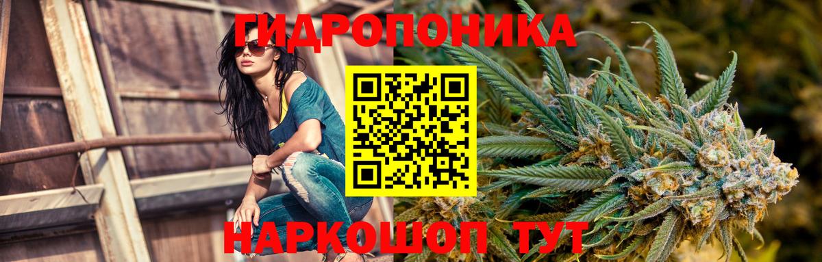 МАРИХУАНА план Сегежа